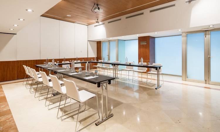 Salón Ejecutivo Hotel ILUNION Málaga Málaga Salón Ejecutivo Hotel ILUNION Málaga Málaga