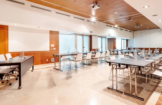 Salón Tribuna + Consejo Hotel ILUNION Málaga Málaga