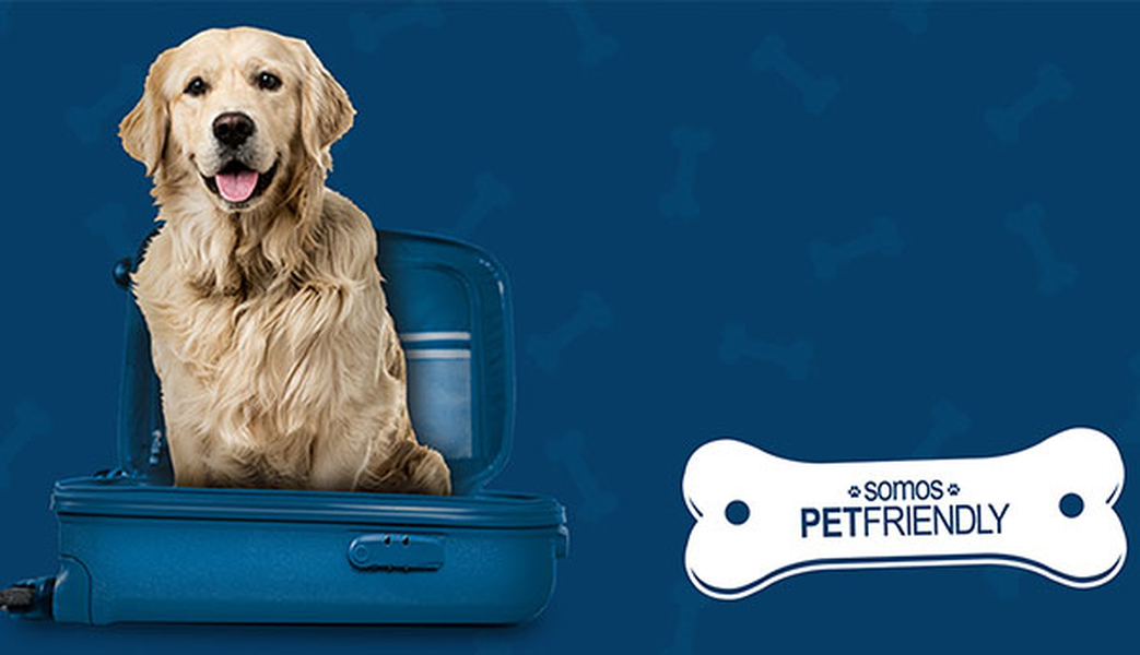¿quieres viajar con tu mascota? Hotel ILUNION Málaga